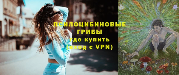 прущий лед Касимов