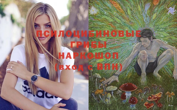 прущий лед Касимов