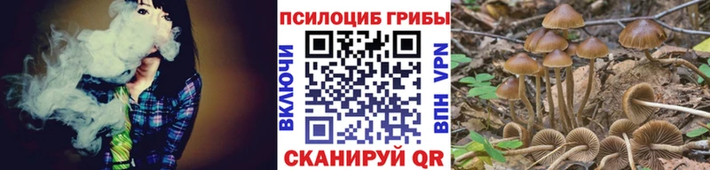 Галлюциногенные грибы прущие грибы  Похвистнево 