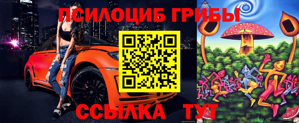 Псилоцибиновые грибы Magic Shrooms  Вход с VPN  Похвистнево  Галлюциногенные грибы Psilocybe 