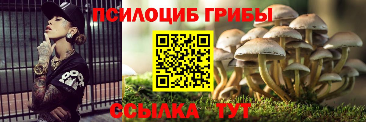 Галлюциногенные грибы MAGIC MUSHROOMS Похвистнево